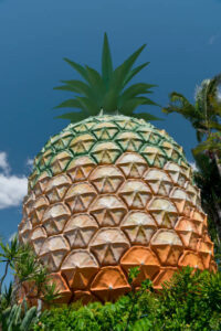 A large, pineapple-shaped structure stands against a blue sky, surrounded by lush greenery on the Sunshine Coast. The structure features geometric, textured patterns resembling pineapple skin.