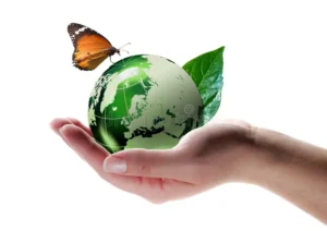 A hand holding a green globe with a leaf attached to it, with a butterfly perched on the globe, all isolated against a white background.